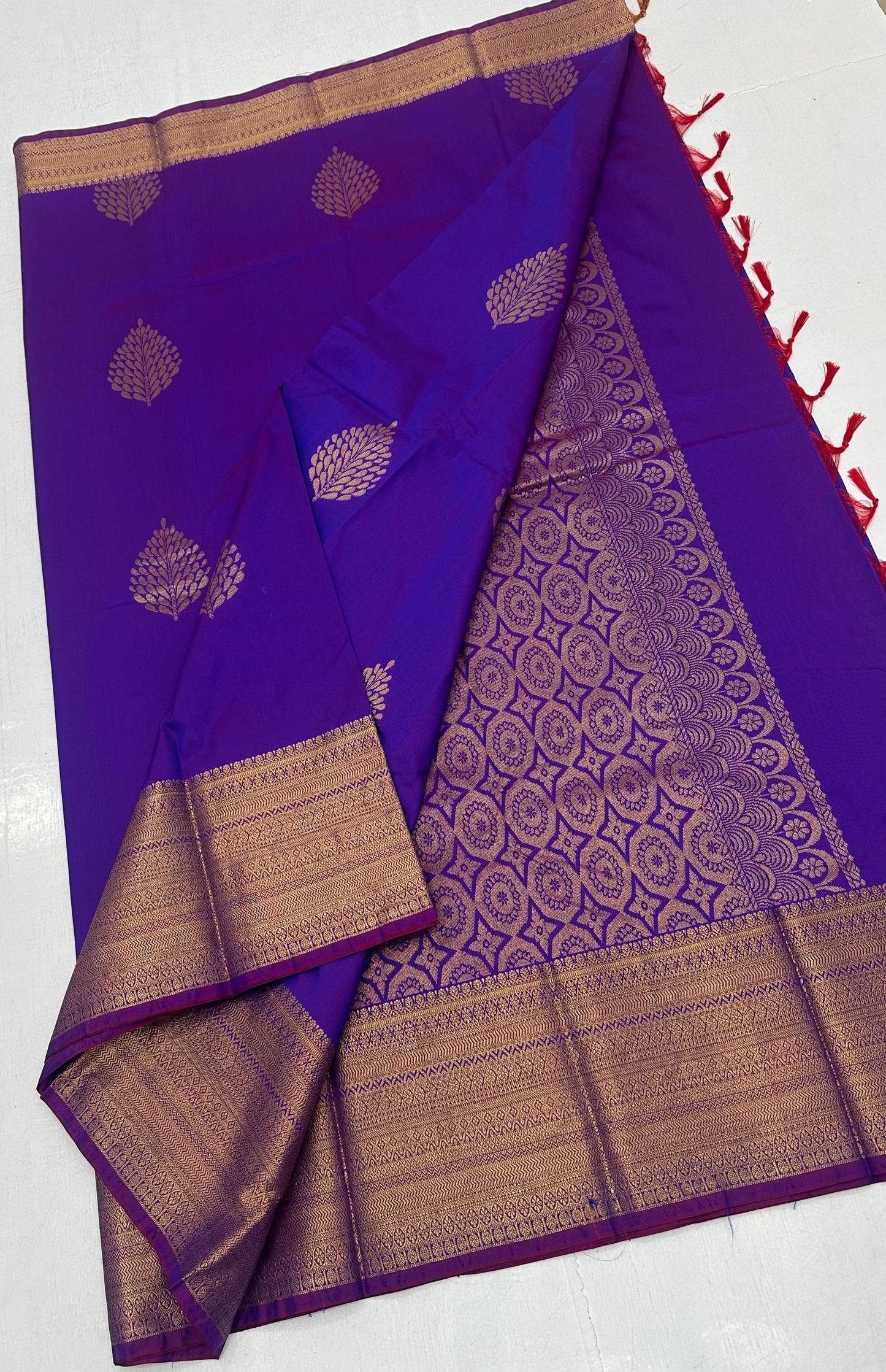 Kanchi Soft Silk Sarree with Leaf Motifs